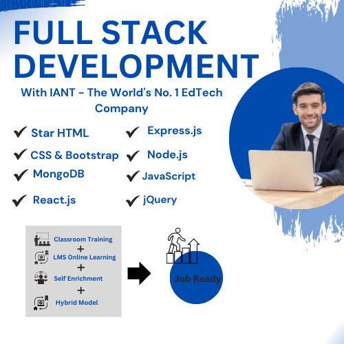 Full Stack Developer